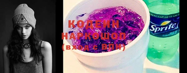 шишки Киренск