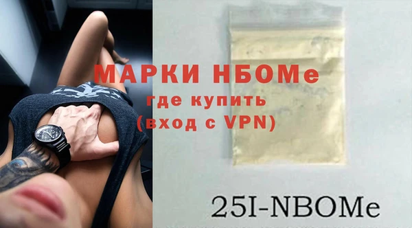 шишки Киренск