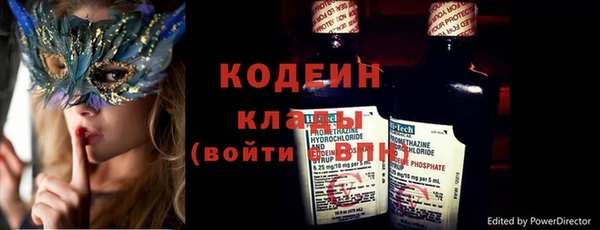 шишки Киренск