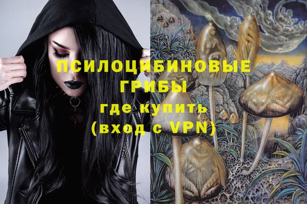 шишки Киренск