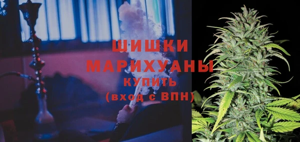 шишки Киренск