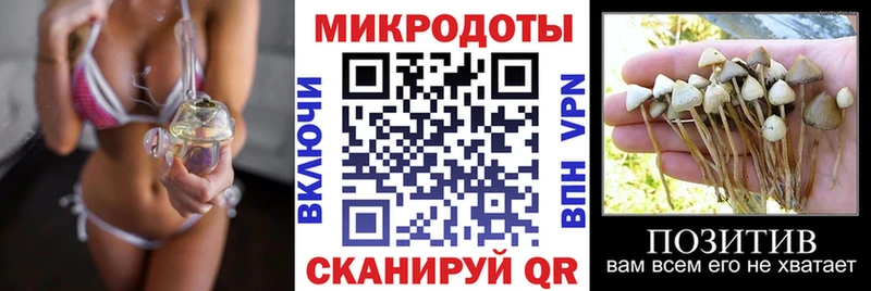 Купить  Благодарный  Псилоцибиновые грибы прущие грибы 