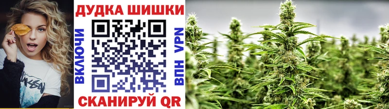 Купить где Благодарный Канабис ГИДРОПОН